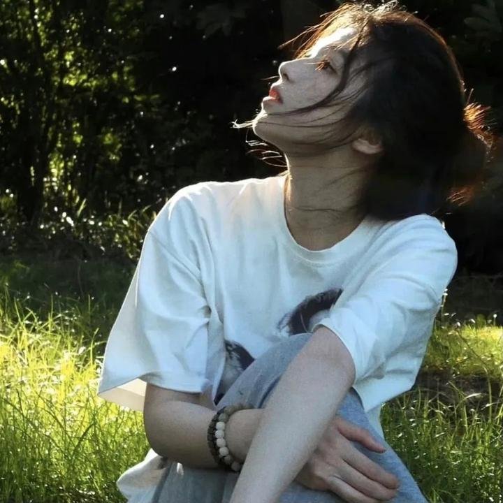 海上有片红树林海报