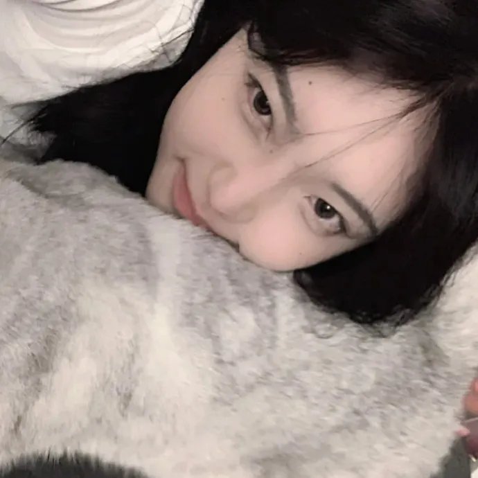 蓬莱龙棺之徐福宝藏海报